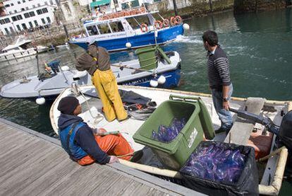 Entre 2.500 y 2.800 medusas de la especie carabela portuguesa han sido recogidas desde comienzos de este mes por el servicio puesto en marcha por el Ayuntamiento de San Sebastián. Tres embarcaciones -una de ellas, en la imagen- recorren a diario las aguas de la costa donostiarra.