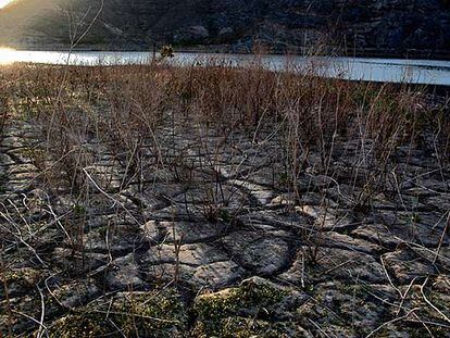 Imagen del lecho seco del pantano de Cuevas de Almanzora, en Almería, el pasado junio.