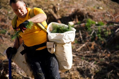 Durante varios días, miembros de la Asociación de Áreas Verdes, junto con voluntarios y clientes de HP, participan en el plan de reforestación.