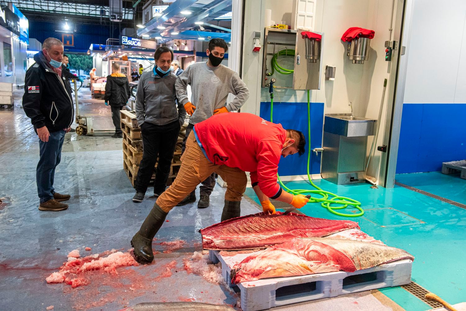 Un trabajador despieza un atún rojo procedente de Tarragona en Mercamadrid.