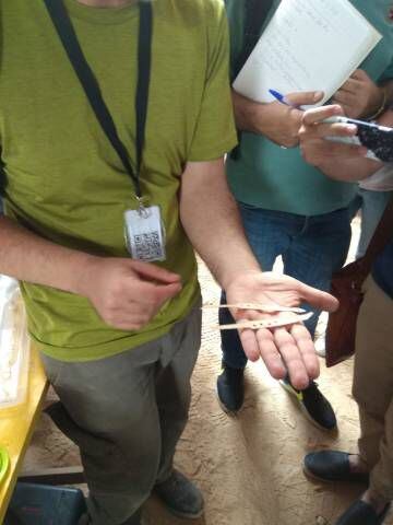 Toni Fernández muestra las dos varillas de abanicos encontradas en la excavación del Born.