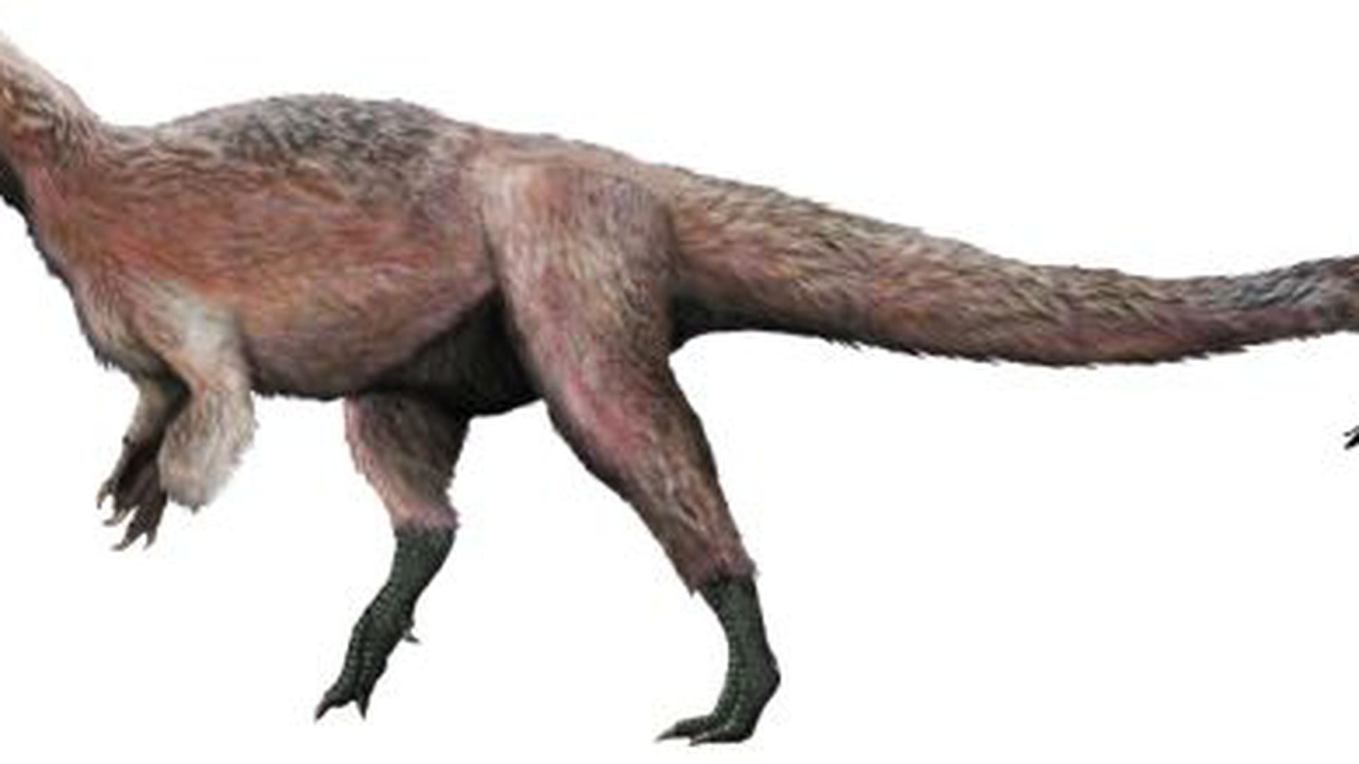 Descubierto un dinosaurio pariente del '', pero con plumas | Sociedad  | EL PAÍS