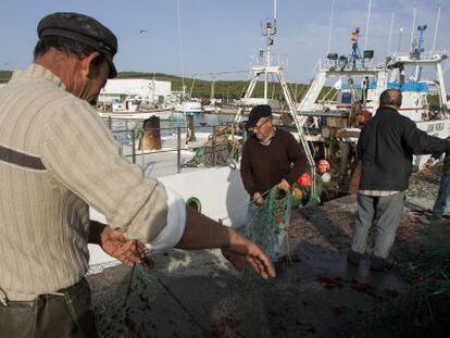 Trabajadores preparan los aparejos en el puerto de Barbate.