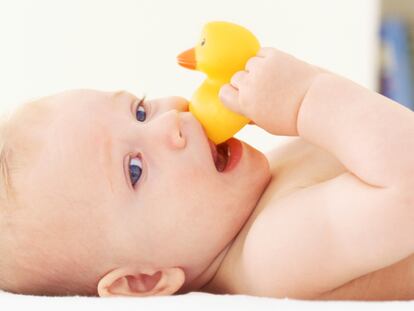 Chupetes para bebés rellenables con fruta y con tetinas