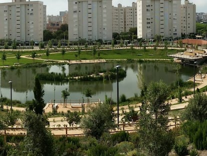 Parque inundable de La Marjal, en Alicante. (Foto: Suez)
