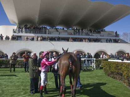 Carrera de caballos en el Hipódromo de la Zarzuela la pasada primavera.