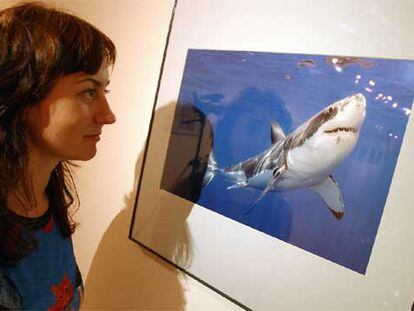 Una joven contempla la fotografía de Douglas David Seifert, en la categoría de especies amenazadas, que se muestra en Bilbao.