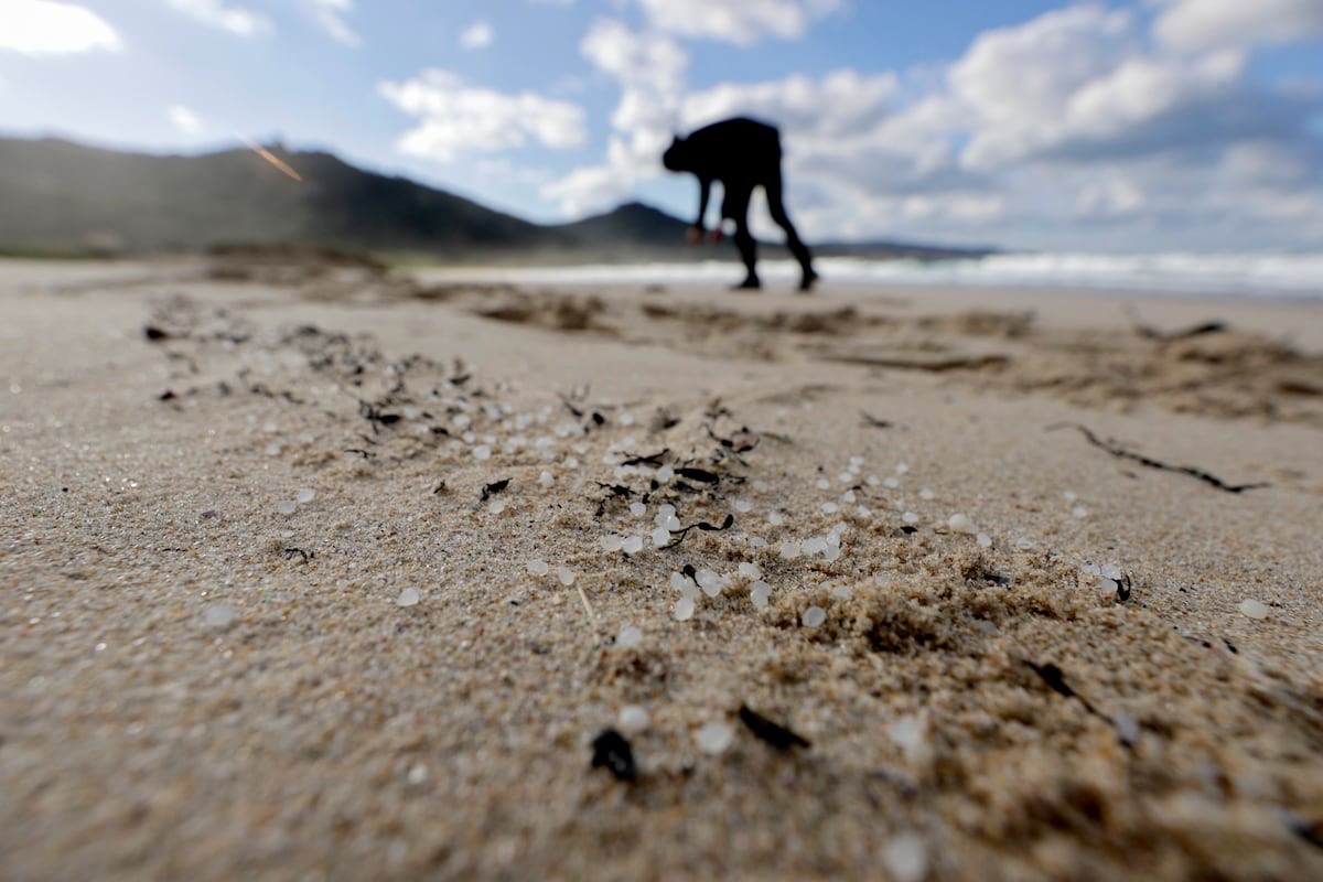 La marea de ‘pellets’ alcanza Bruselas: el vertido condiciona la futura ley contra los microplásticos en la UE | Clima y Medio Ambiente