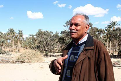 Taher al Tahri, presidente de la Asociación para la Defensa del Oasis de Jemna, la entidad que gestiona el palmerar ocupado.