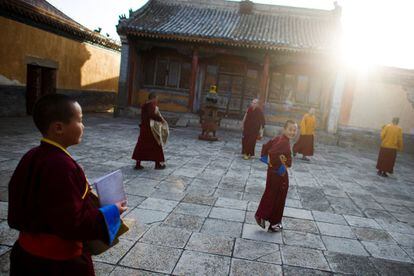 Solo cuatro años después de sus propios estudios, Lobsang, de 29 años, ya está enseñando a dos jóvenes monjes, una posición que se alcanza normalmente 20 años después de finalizar los estudios. En la imagen, jóvenes monjes budistas acuden a un rezo en el patio del monasterio de Amarbayasgalant en Baruunburen (Mongolia).