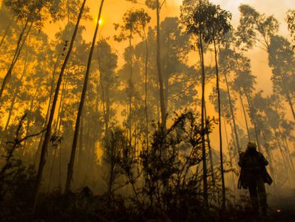 Uno de los incendios declarados en Galicia cuando se halló el cadáver.