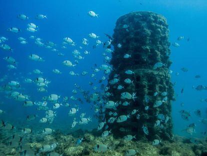 Instalaci&oacute;n de boyas ecol&oacute;gicas en Tarragona.