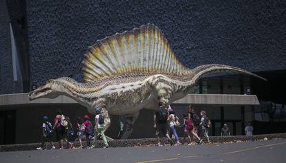 La exposición Spinosaurus, el gigante perdido del cretácico.