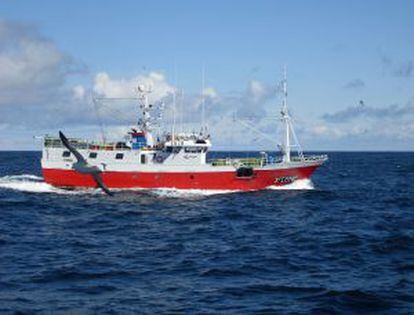 Una bandada de gaviotas merodeando alrededor de un barco del Grupo Regal mientras faena en Gran Sol.