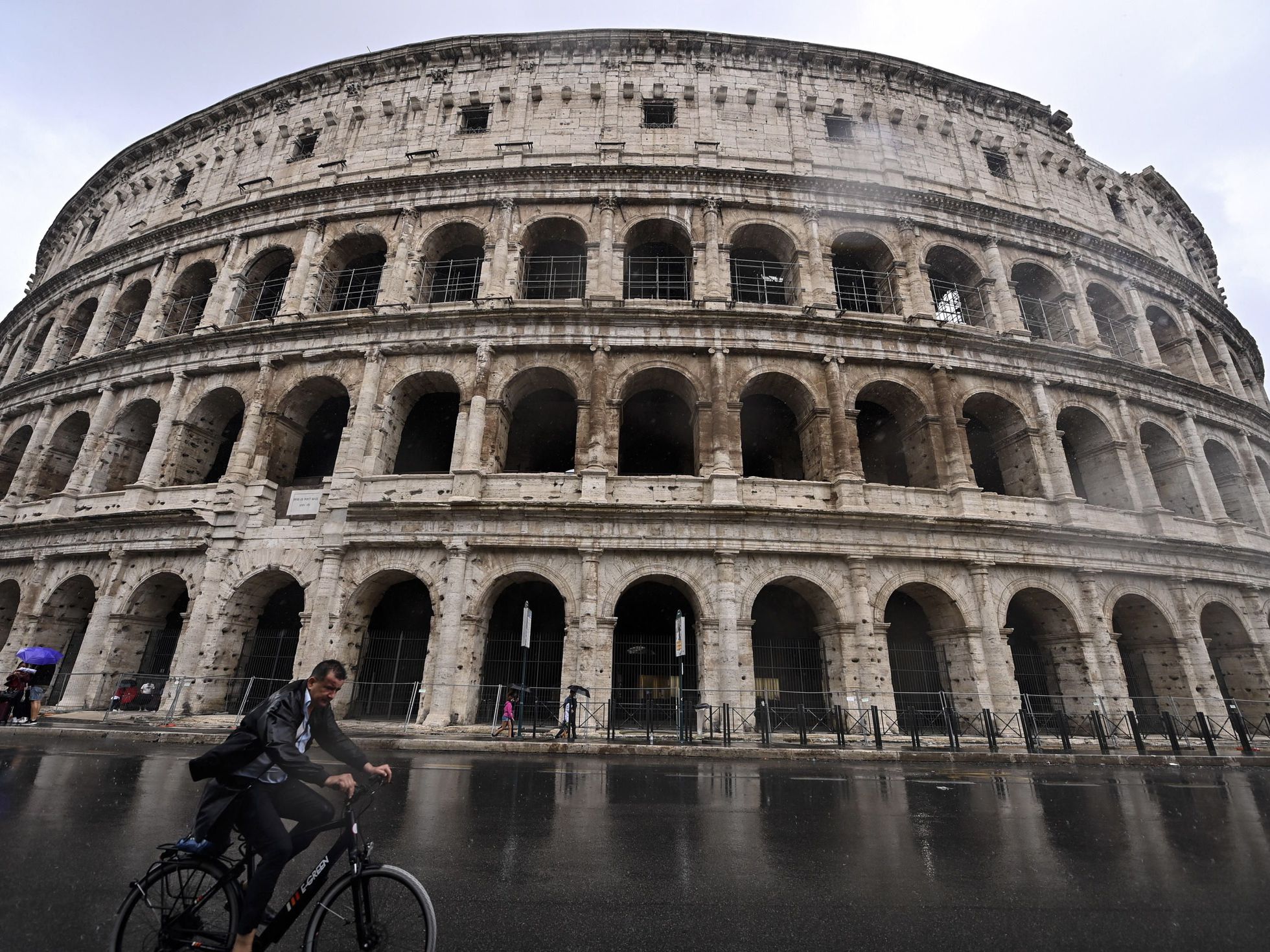 No solo leones, osos y gladiadores: los perros salchicha también salían a  la arena del Coliseo romano | Cultura | EL PAÍS