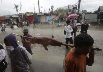 Un par de personas transportan un cerdo asado.
