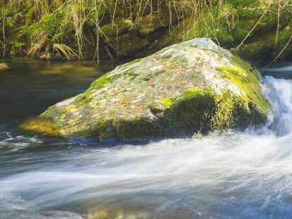 Roca granítica en un riachuelo de la Sierra de Guadarrama.