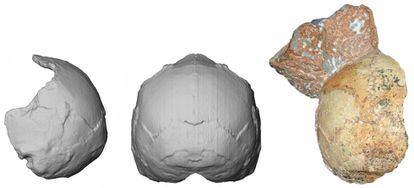 El cráneo 1 de Apidima con parte de sedimento adherido, supuestamente de un 'Homo sapiens' que vivió hace 210.000 años, el más antiguo de Europa.