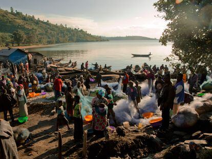 La playa del pueblo de Kasunyu, Kivu del Sur, a orillas del lago Kivu. Cada día, después del amanecer, los pescadores regresan al pueblo con su captura y la playa se convierte en un mercado frenético, mientras las comerciantes se reúnen alrededor de los barcos que llegan para comprar pescado fresco para venderlo en los mercados de todo el territorio.