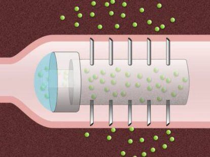 Imagen de la c&aacute;psula con las microagujas.
