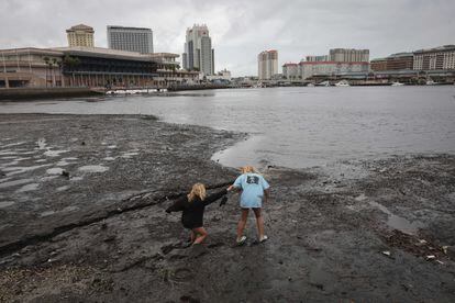 Dos niñas caminan por la orilla de la bahía de Tampa. En esta zona, el nivel de las aguas ha bajado porque el viento y la marea las empuja. Al situarse al norte del ojo del huracán, los vientos van desde tierra hacia el mar, pues el huracán se mueve en sentido contrario a las agujas del reloj. 