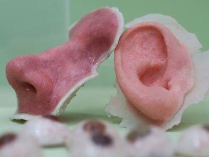 Protesis de nariz y de oreja elaboradas con impresoras 3D en una muestra organizada en el Business Design Center de Londres.