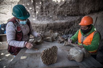 La finalidad del proyecto es conocer 20.000 años de historia de la vida en el noroeste de la Cuenca de México.