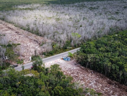 Imagen de los trabajos del tramo 5 del Tren Maya, en Playa del Carmen, Quintana Roo.