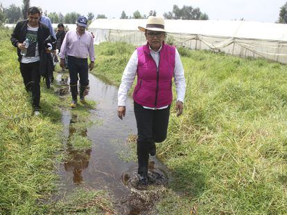 Rosa Icela Rodríguez en una visita a plantíos afectados por la lluvia, en 2016, en Ciudad de México.