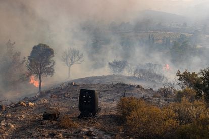 Destrozos provocados por el incendio en la isla de Rodas (Grecia), este lunes.