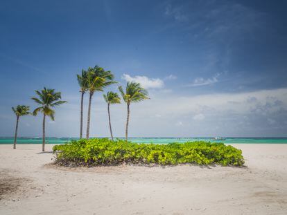 Playa Blanca, en Punta Cana, República Dominicana. 