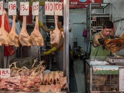 El cierre de los mercados de aves vivas en China se considera clave para cortar la transmisi&oacute;n del H7N9.