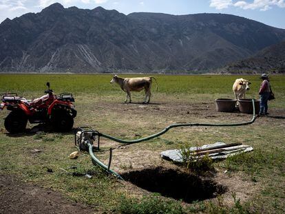 Una mujer junto al pozo que cavó en el lecho de la laguna para abastecer de agua a su ganado en Laguna de Metztitlán, Estado de Hidalgo, en mayo de 2023.