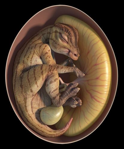 Imagen ganadora de la categoría 'Paleoecología' presentada por Jordan Mallon, del Museo Canadiense de la Naturaleza. Muestra el trabajo de un grupo de paleontólogos durante la pandemia de covid-19, que descubrieron dos huevos de hadrosaurio del Cretácico Superior de China, que tienen entre 66 y 72 millones de años. Mallon apunta que sus hallazgos sugieren que los primeros hadrosaurios pusieron huevos relativamente pequeños y, con el paso del tiempo, generaciones más evolucionadas acabaron poniendo huevos casi cuatro veces mayores. La imagen ha sido realizada por Wenyu Ren.  