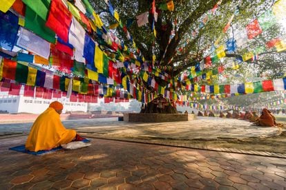 El peregrinaje a Lumbini (en la foto), lugar de nacimiento de Buda, es uno de los grandes viajes espirituales del subcontinente asiático. Se puede visitar el lugar exacto donde nació Siddhartha Gautama hace 2.500 años (redescubierto hace solamente un siglo) y recorrer la colección de templos construidos por las naciones budistas vecinas.