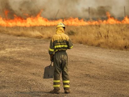 Un bombero de las brigadas de refuerzo en incendios forectales (BRIF) frente a un campo de trigo en Tabara (Zamora).