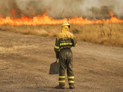 Un bombero de las brigadas de refuerzo en incendios forectales (BRIF) frente a un campo de trigo en Tabara (Zamora).