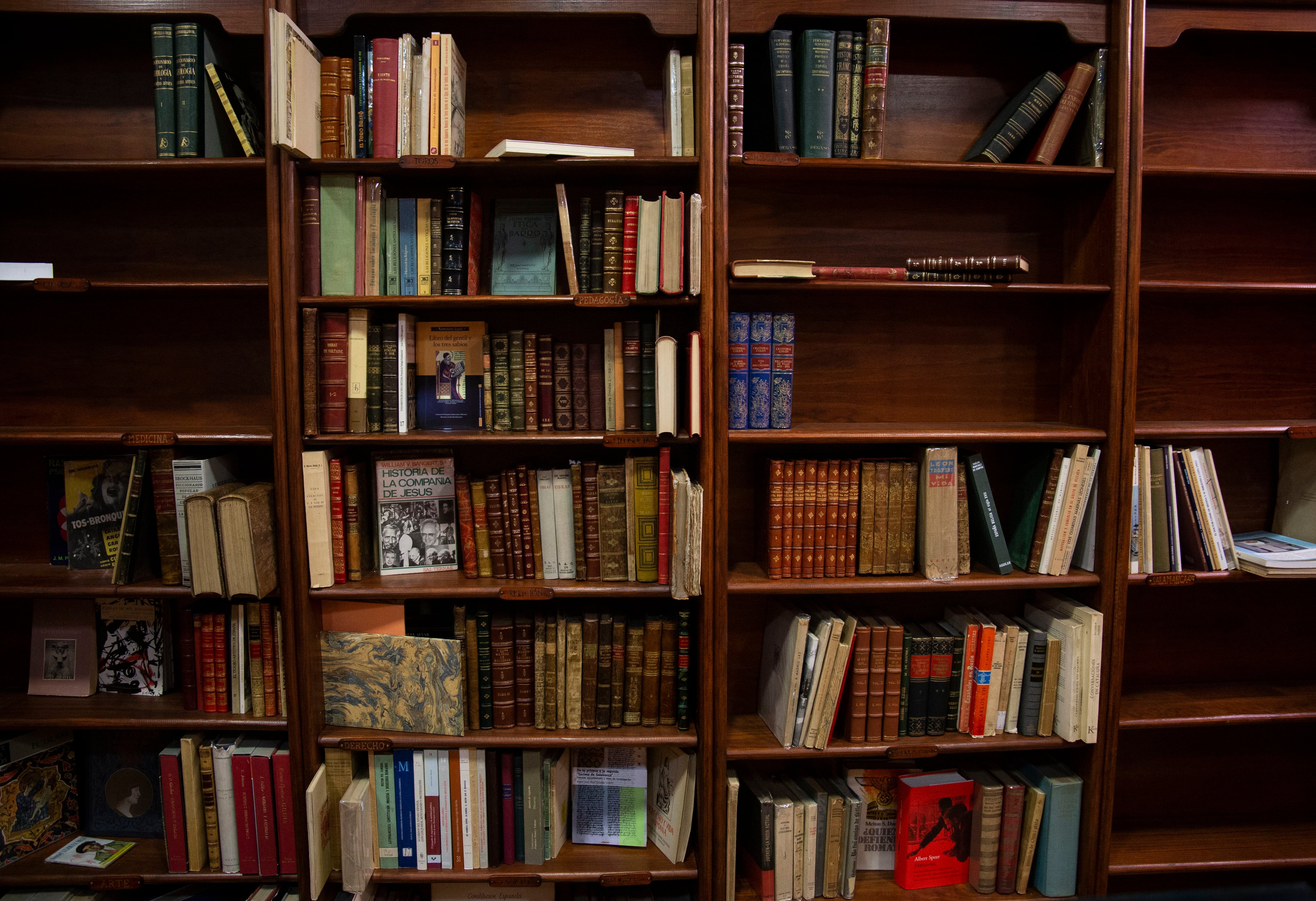 Interior de la librería La Galatea, en Salamanca.