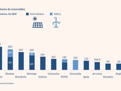 Capital Energy, X-Elio, Iberdrola y Naturgy, grandes adjudicatarias de la subasta de renovables