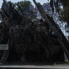 Árbol del ahuehuete llamado árbol de la noche triste, por la derrota del conquistador español Hernán Cortés , el 11 de Marzo del 2021. En Ciudad de México. Las autoridades locales han decidido cambiar el nombre del árbol al árbol de la noche victoriosa.