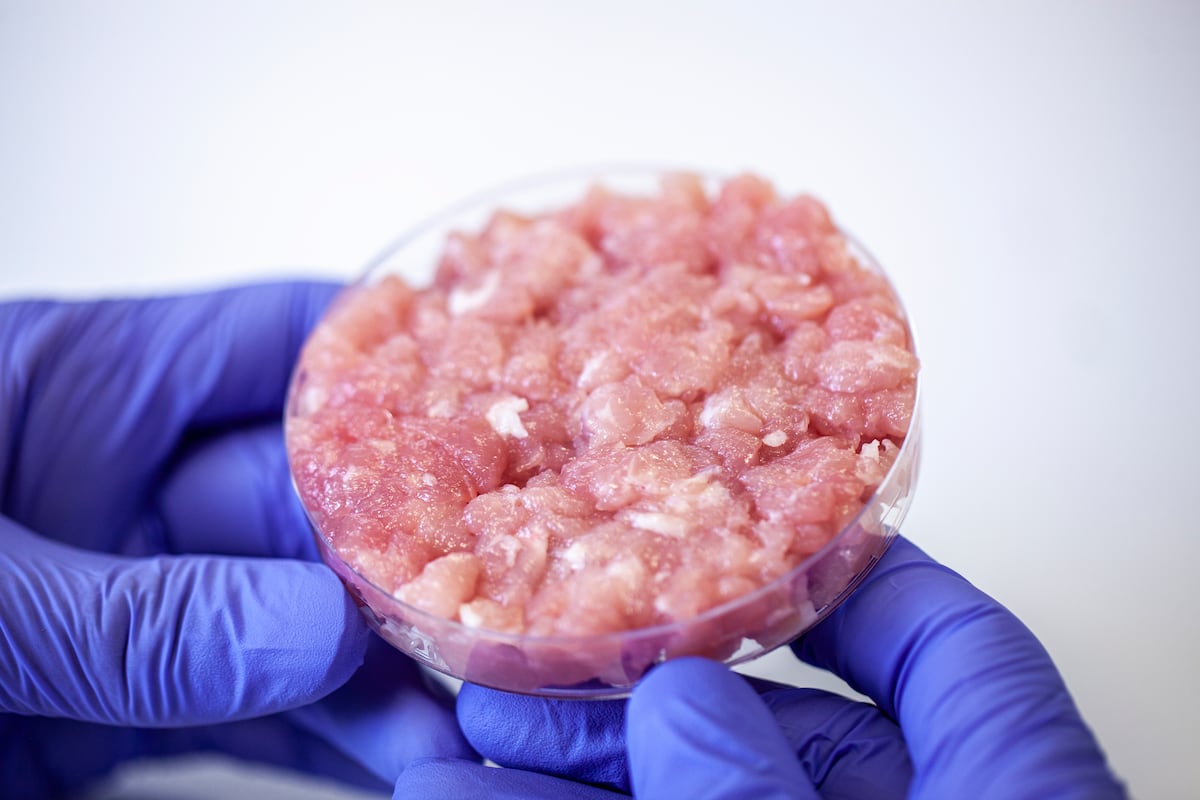 ¿Cómo de sostenibles son las carnes falsas? | Ciencia