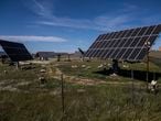 Dvd 1052 (05/05/21) Reportaje sobre energía en Extremadura. En la imagen, una planta solar cuyo terreno también se utiliza para ganadería, en Cáceres. FOTO: Carlos Rosillo.