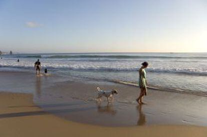 Mujer con su perro a orillas del Atl&aacute;ntico en la playa de Arrifana.