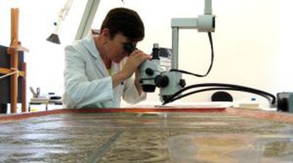 Examen binocular del frontal de altar de Cardet.