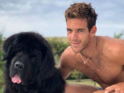 El tenista argentino Juan Martín del Potro y su perro, 'César'.