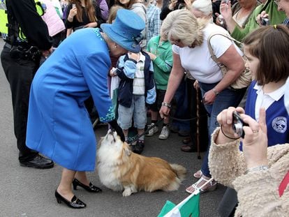 Isabel II acaricia a un corgi en Welshpool, Gales, en una visita realizada en abril de 2010.