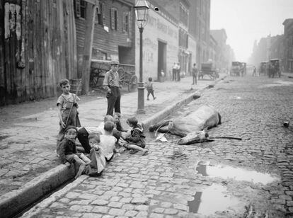 Un grupo de niños juega al lado de un caballo muerto en Nueva York, hacia 1900.