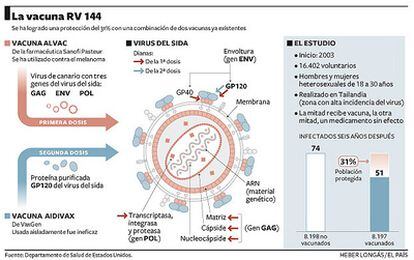 Así funciona la vacuna