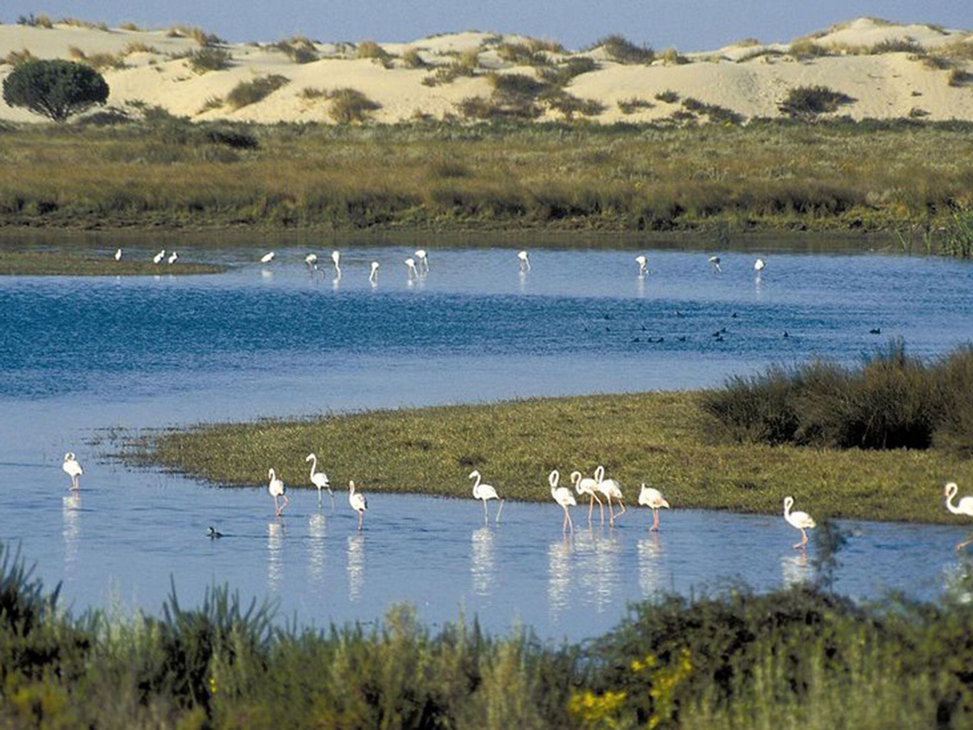 Elevado a la Unesco el informe sobre el estado de conservación del