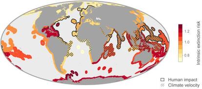 El mapa muestra como los ecosistemas marinos de los trópicos y la Antártida son los que tienen mayor riesgo de extinción.